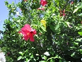 IMG_0471.JPG