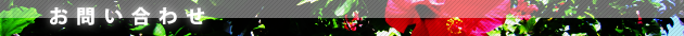 hp_form.png